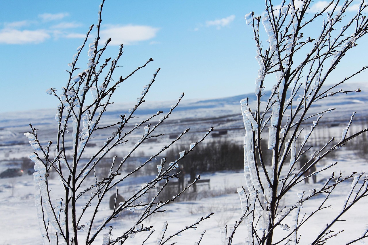 南山最新雪景,展现冬季美丽的画卷