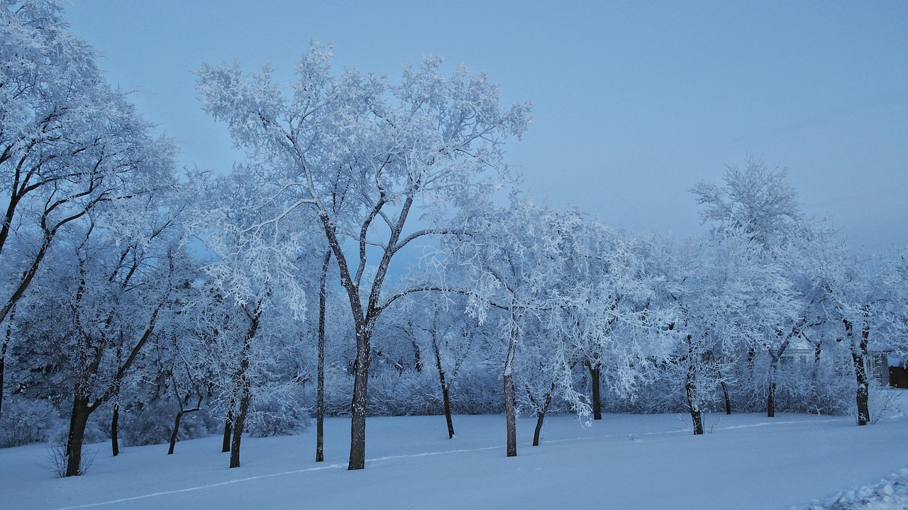 南山最新雪景,展现冬季美丽的画卷