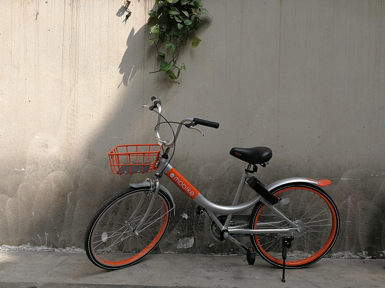 共享单车押金最新动态,行业变革、未来展望与押金趋势分析