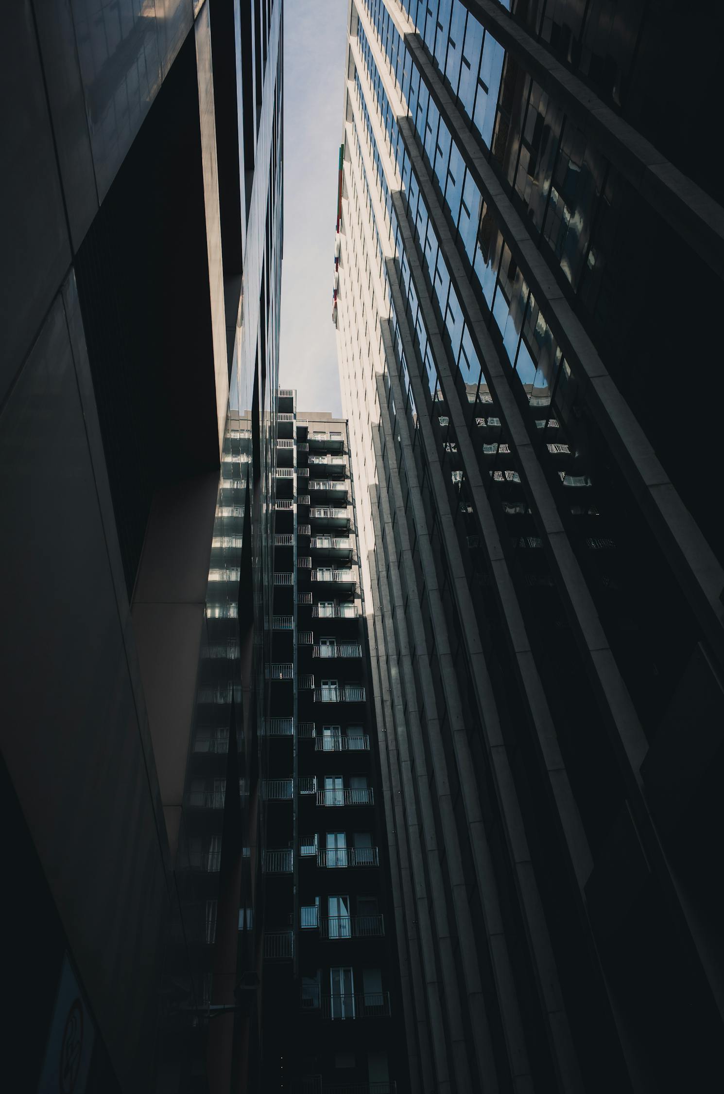 探究现代观影现象的独特视角,强迫电影分析