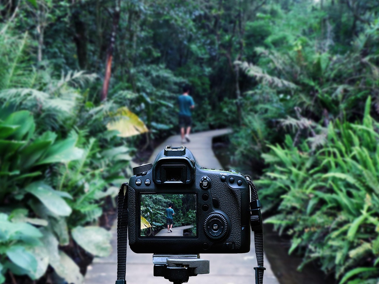 杨坤音乐之旅新篇章,最新动态揭秘