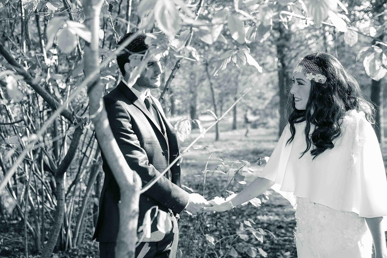 著名电视剧,影响与启示的探讨