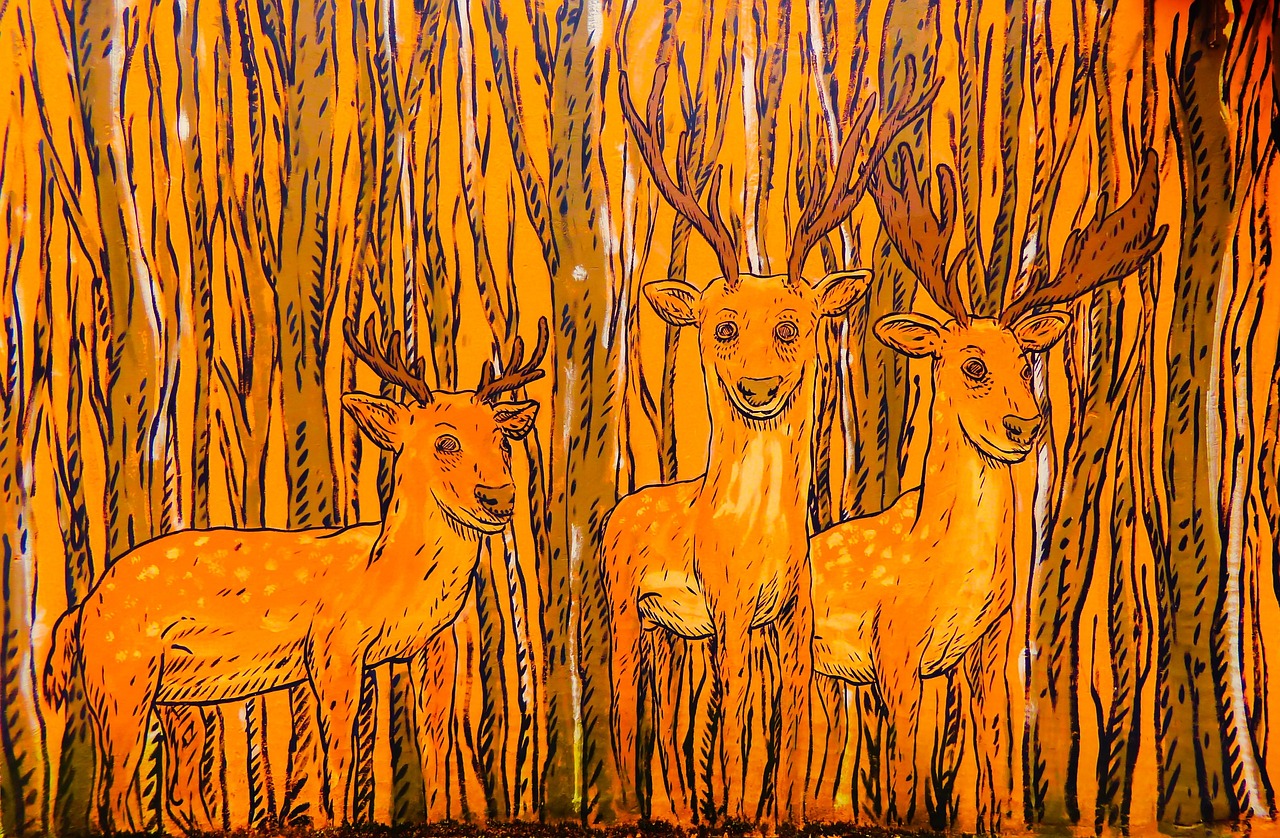 黑白动漫图片手绘的艺术魅力探索