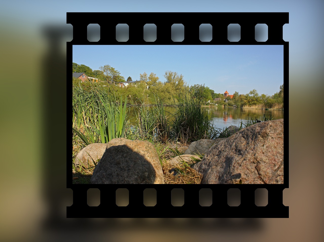 探索免费观影新世界的精彩电影推荐!