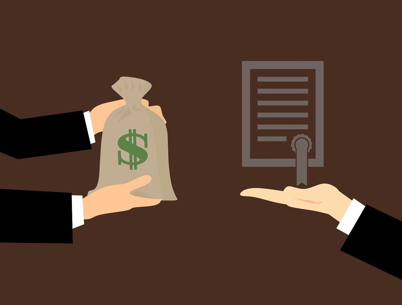 印度遭遇蝗虫灾害，挑战与应对策略