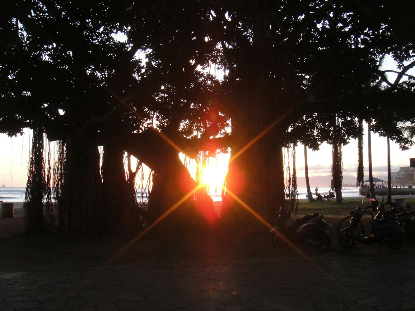 一家三口的动漫头像,个性与情感的独特展现