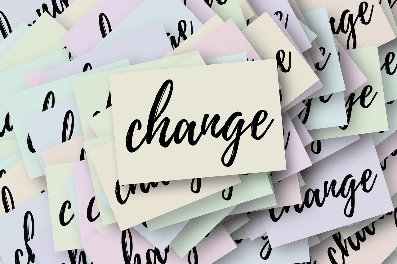 霍肖宇最新动态，迈向新的辉煌篇章之路