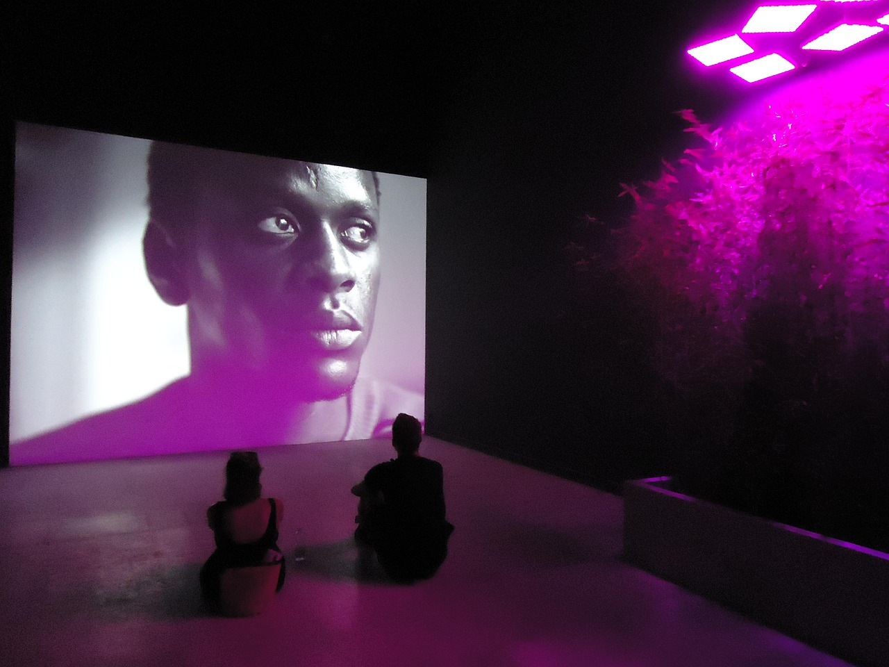 仔仔电影网，电影爱好者的乐园探索