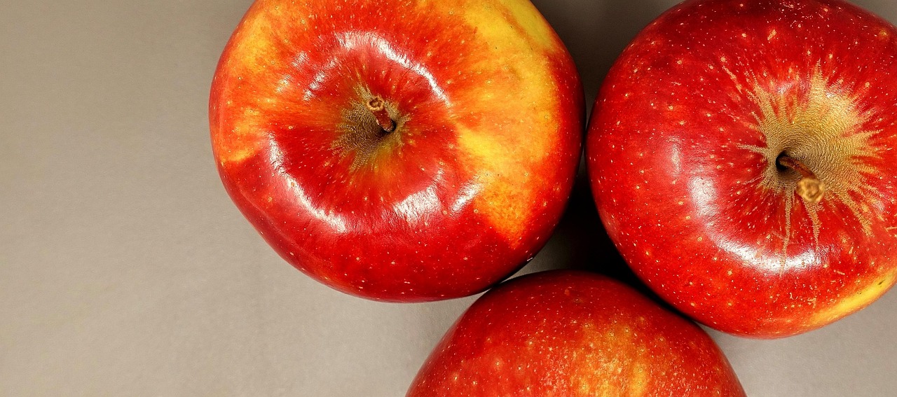 阳新城东新区最新进展与动态更新