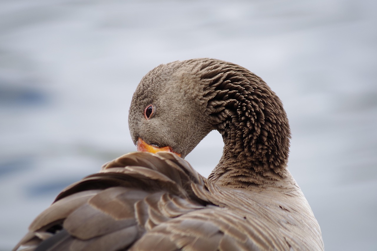 全球疫情最新动态,挑战与希望并存的发展态势分析