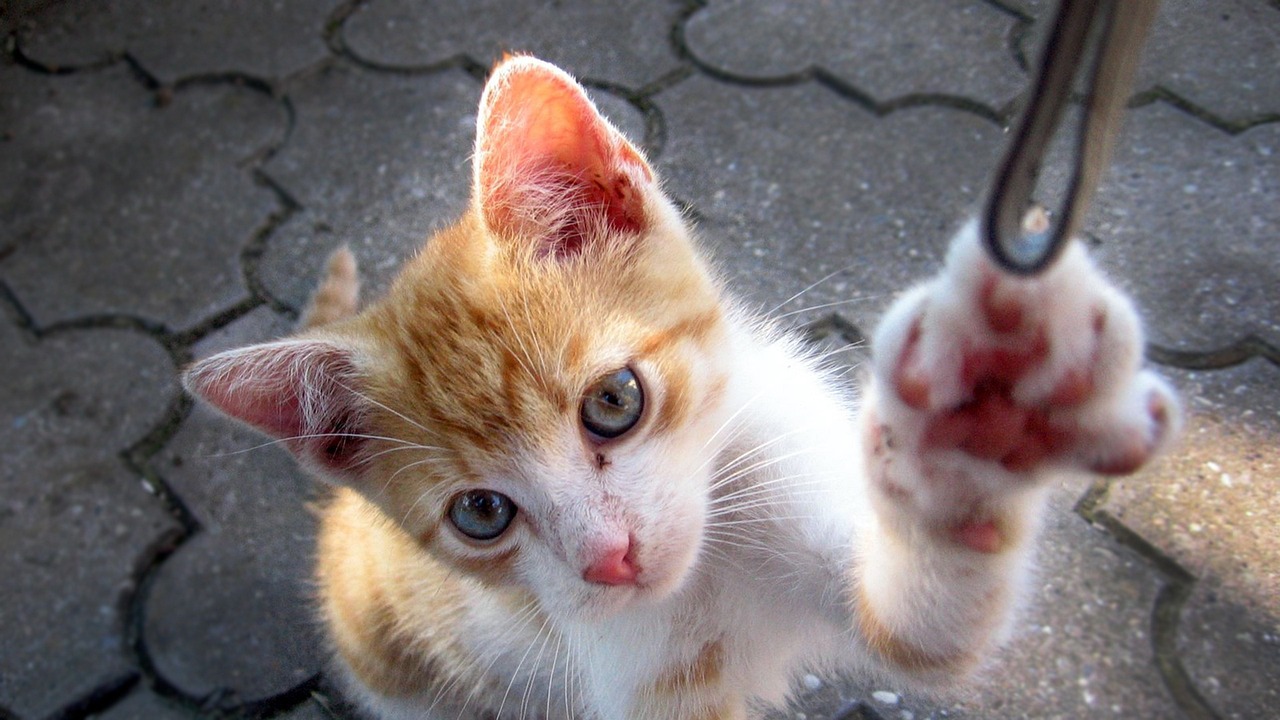 马蓉最新动态,开启生活新篇章的探索