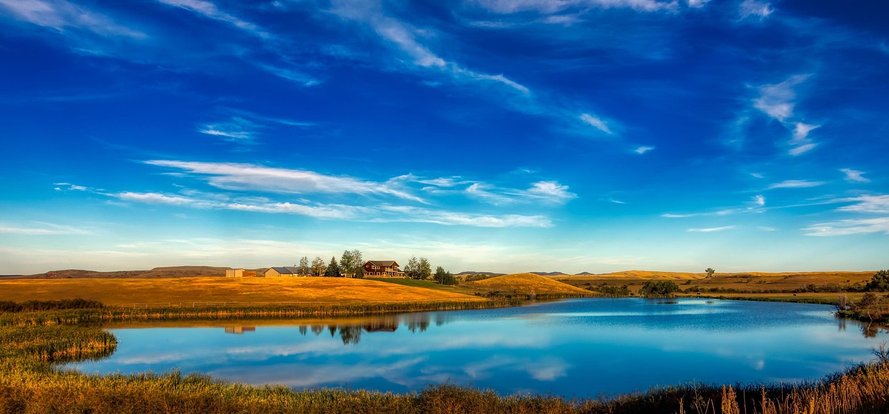 云尊币实时行情深度解析与最新动态