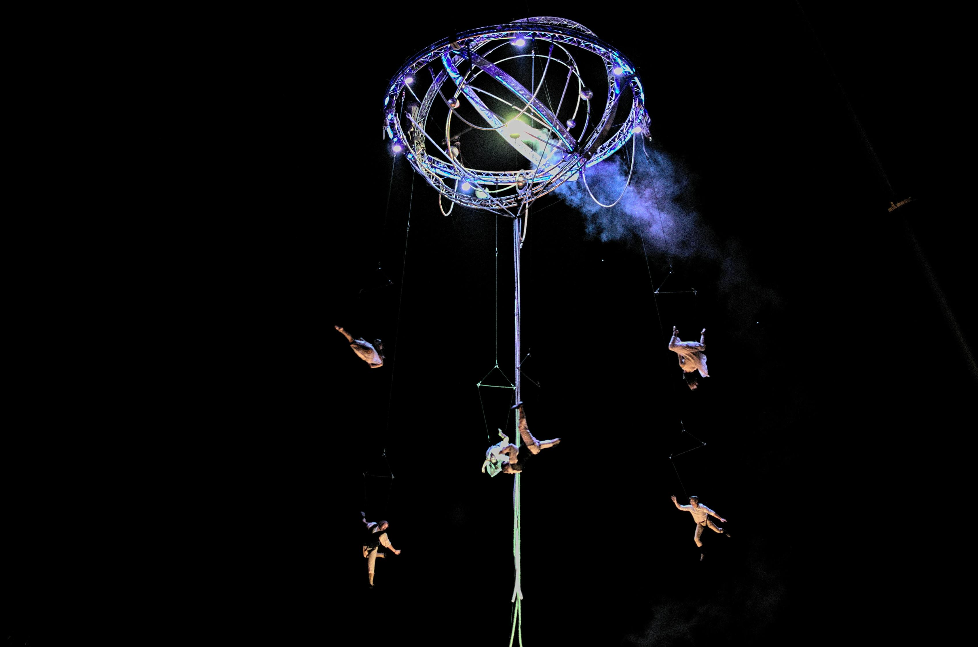 蝉演员,舞台鸣唱与人生共鸣的交响乐章