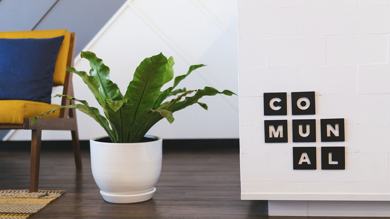 电视插,现代生活的必备配件