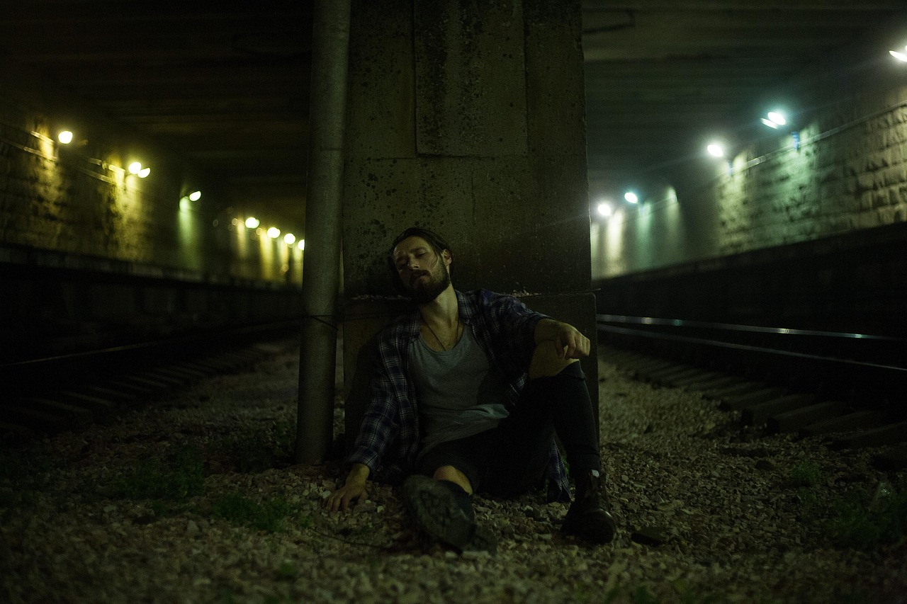 免费观看成年人电影，文化现象的多角度解读与探索