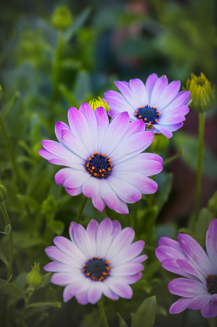 远光软件股票最新消息深度解析与动态关注