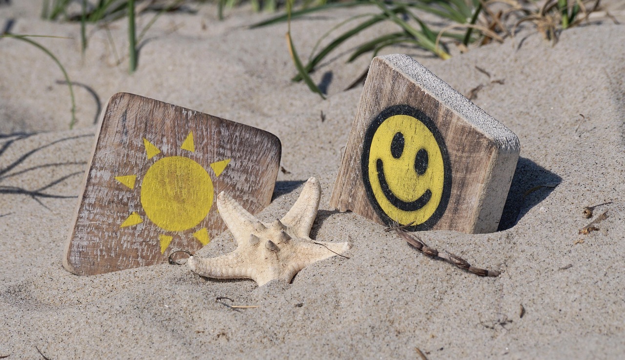 焦煤价格动态与市场走势分析,影响因素及未来展望