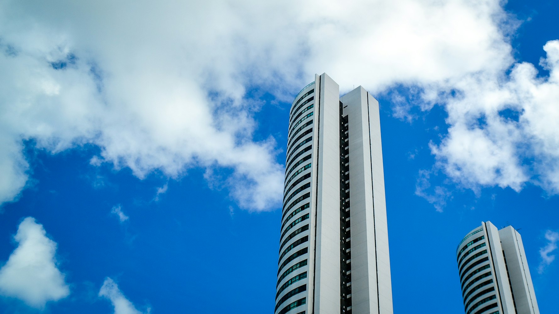 大森林股票，自然与金融的交融之美探索