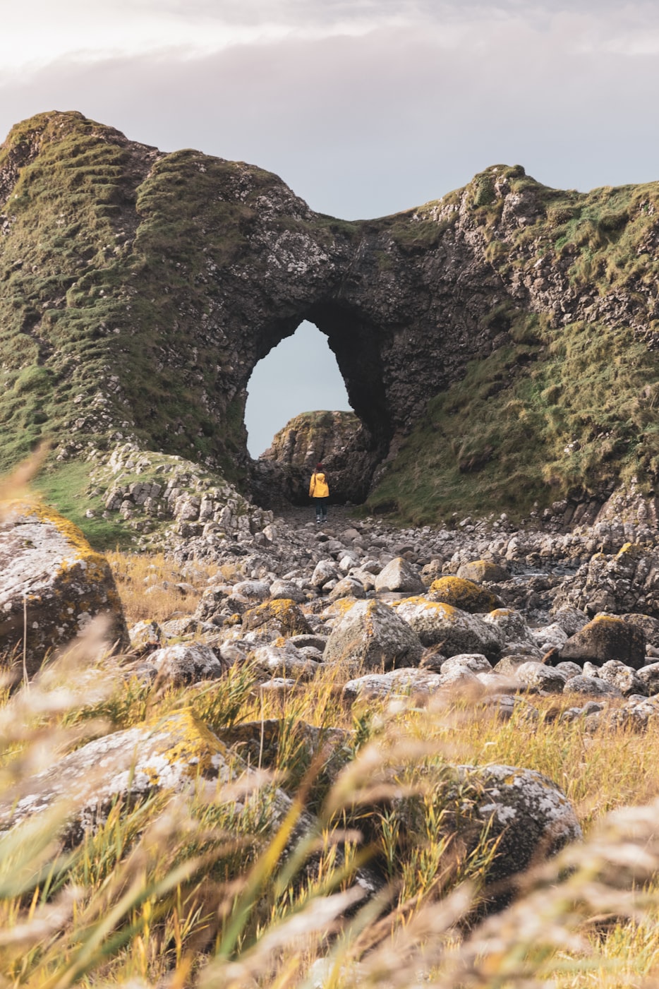 白马速览最新博文，探索前沿科技与社会交汇的发展动态